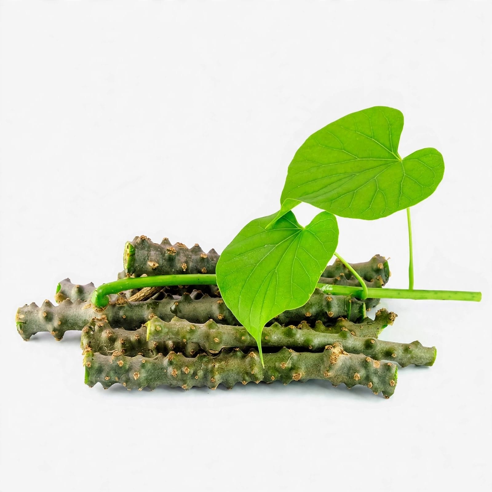Giloy Stick (Amrita)